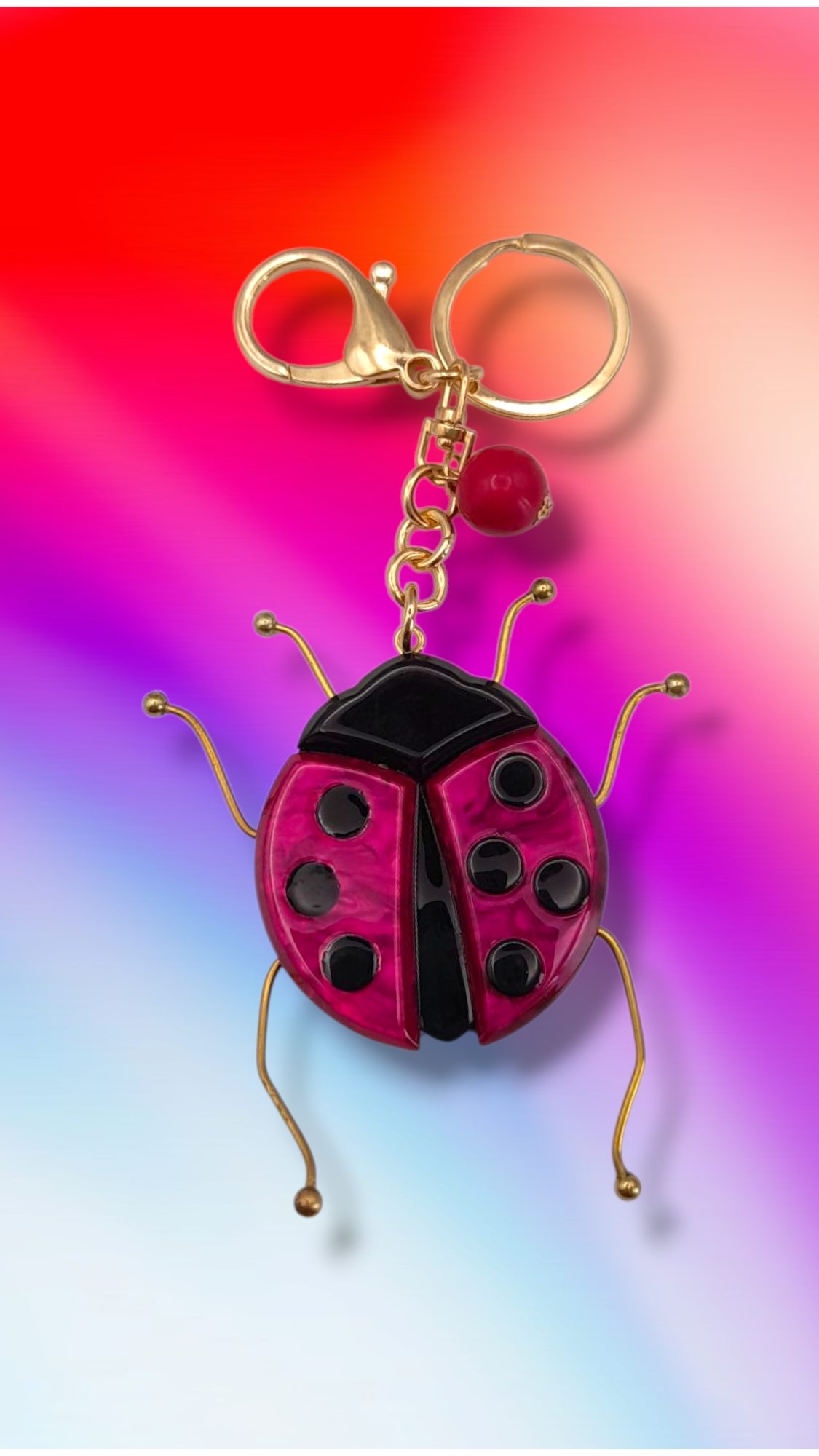 Portachiavi Coccinella π
